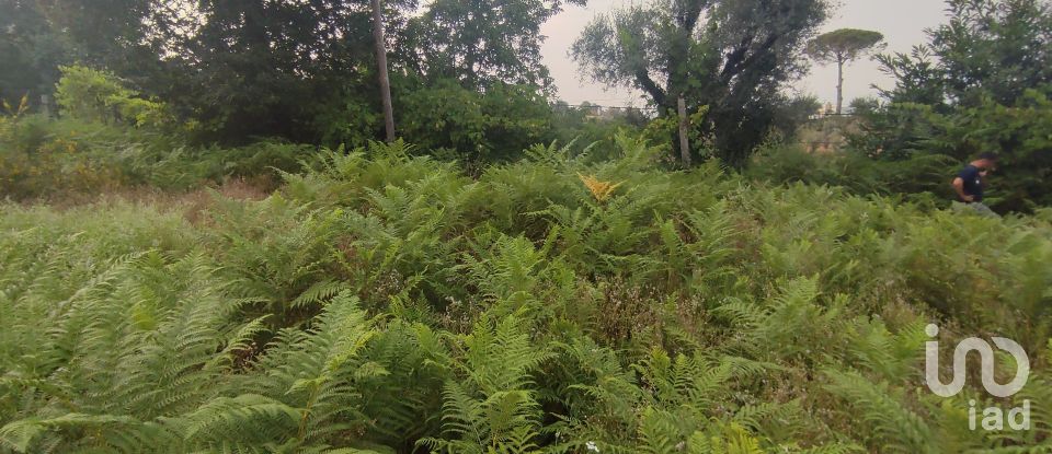 Terreno em Lavradas de 7 070 m²