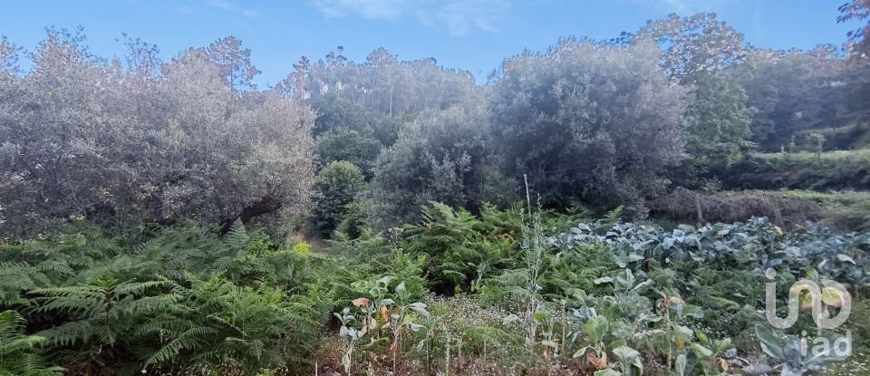 Terreno em Lavradas de 7 070 m²