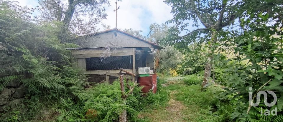 Terreno em Lavradas de 7 070 m²