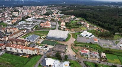 Terreno em Albergaria-a-Velha e Valmaior de 6 700 m²