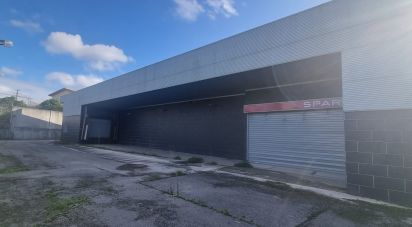 Surface diverse à Febres de 673 m²