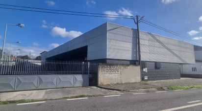 Surface diverse à Febres de 673 m²