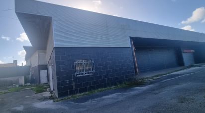 Surface diverse à Febres de 673 m²