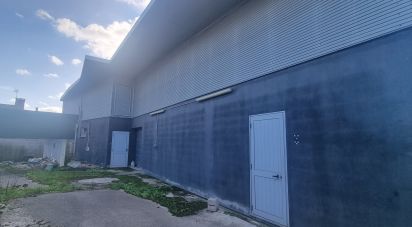 Surface diverse à Febres de 673 m²