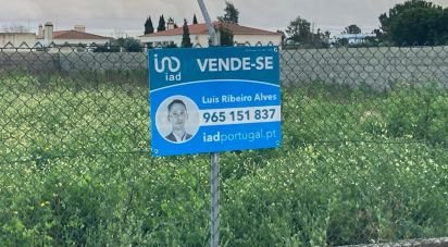 Terrain à Salvaterra de Magos e Foros de Salvaterra de 1 000 m²