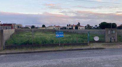 Terrain à Salvaterra de Magos e Foros de Salvaterra de 1 000 m²