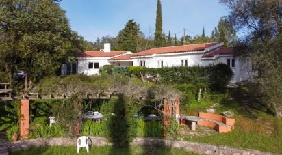 House T4 in Azeitão (São Lourenço e São Simão) of 190 m²