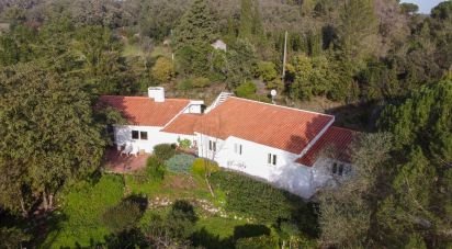 House T4 in Azeitão (São Lourenço e São Simão) of 190 m²