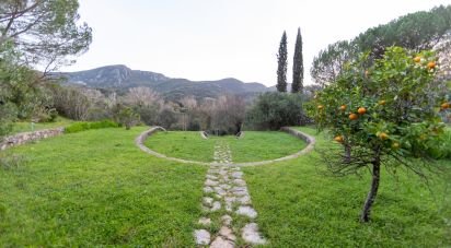 House T4 in Azeitão (São Lourenço e São Simão) of 190 m²