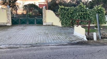 Maison rustique T4 à Salvaterra de Magos e Foros de Salvaterra de 265 m²