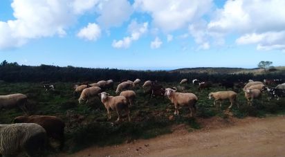 Terrain à Vila do Bispo e Raposeira de 715 460 m²