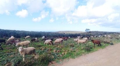 Terrain à Vila do Bispo e Raposeira de 715 460 m²