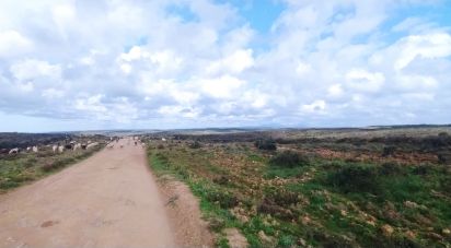 Terrain à Vila do Bispo e Raposeira de 715 460 m²