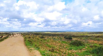 Terrain à Vila do Bispo e Raposeira de 715 460 m²