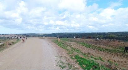 Terrain à Vila do Bispo e Raposeira de 715 460 m²