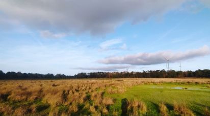 Terrain à Vila do Bispo e Raposeira de 17 850 m²