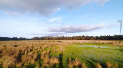 Terrain à Vila do Bispo e Raposeira de 17 850 m²