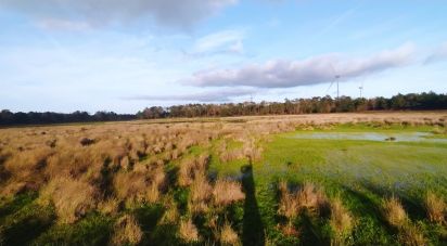 Terrain à Vila do Bispo e Raposeira de 17 850 m²