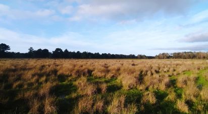 Terrain à Vila do Bispo e Raposeira de 17 850 m²