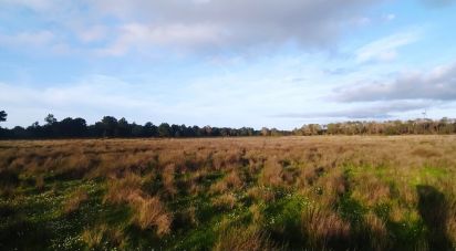 Terrain à Vila do Bispo e Raposeira de 17 850 m²