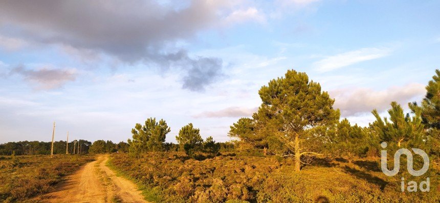 Terreno em Vila do Bispo e Raposeira de 123 840 m²