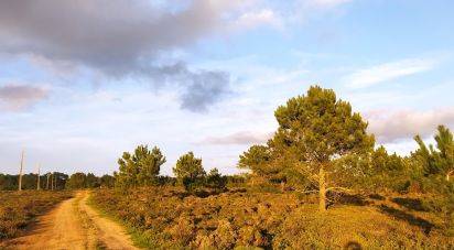 Terrain à Vila do Bispo e Raposeira de 123 840 m²