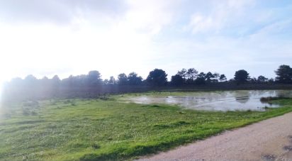 Terrain à Vila do Bispo e Raposeira de 123 840 m²