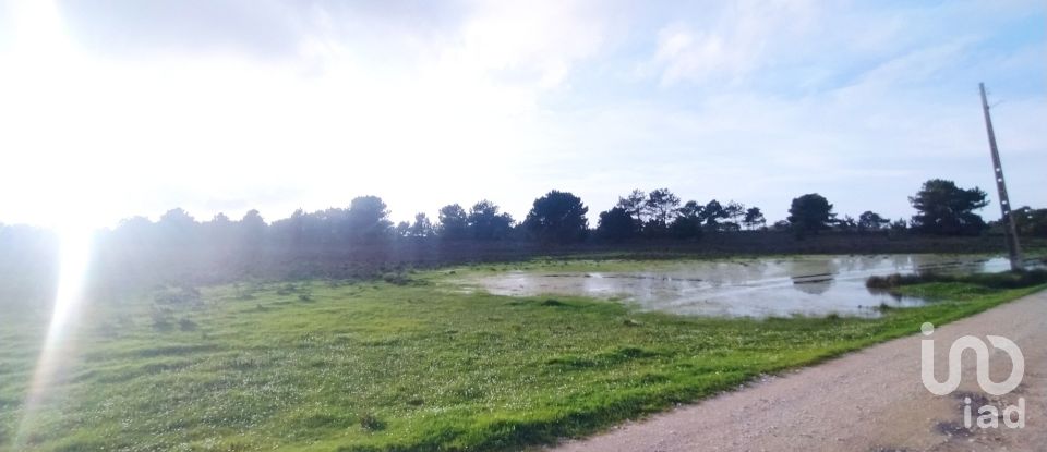 Terreno em Vila do Bispo e Raposeira de 123 840 m²