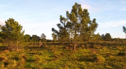 Terrain à Vila do Bispo e Raposeira de 123 840 m²