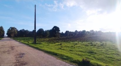 Terrain à Vila do Bispo e Raposeira de 123 840 m²