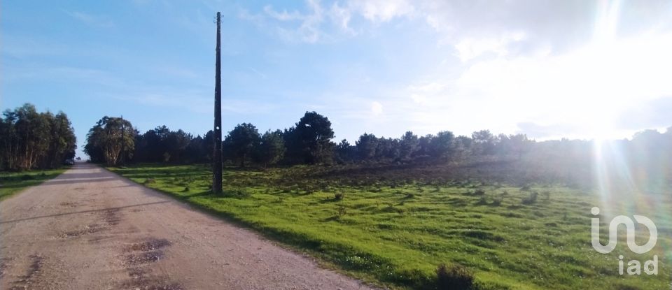 Terreno em Vila do Bispo e Raposeira de 123 840 m²