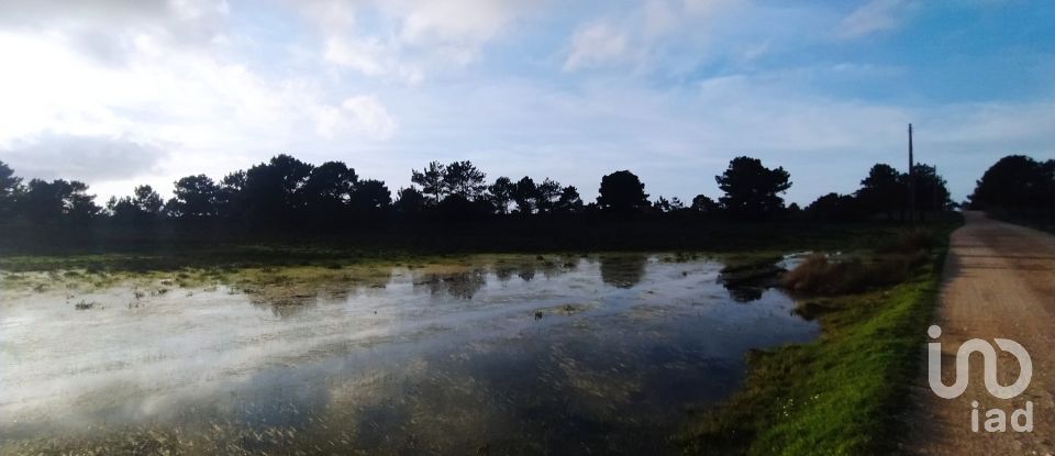 Terreno em Vila do Bispo e Raposeira de 123 840 m²