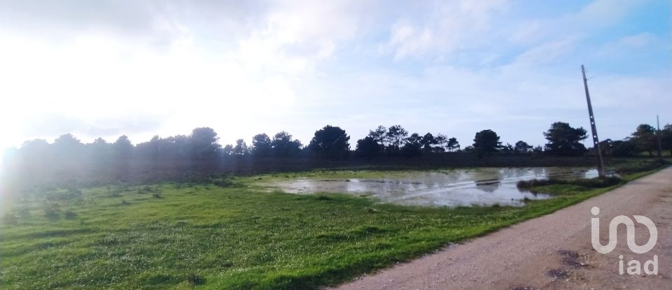 Terreno em Vila do Bispo e Raposeira de 123 840 m²