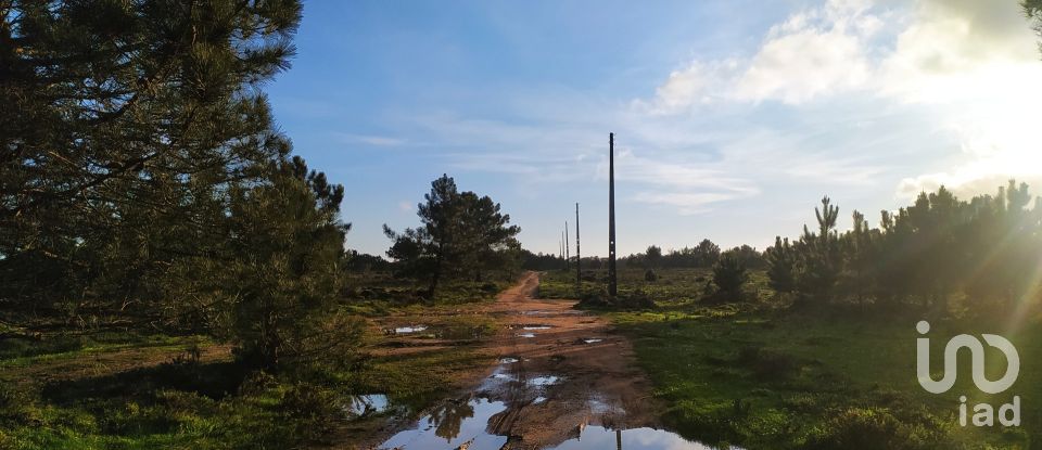 Terreno em Vila do Bispo e Raposeira de 123 840 m²