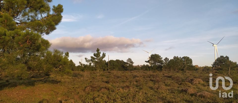 Terreno em Vila do Bispo e Raposeira de 123 840 m²