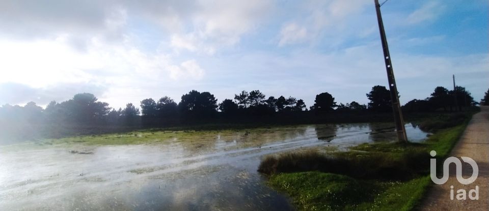 Terreno em Vila do Bispo e Raposeira de 123 840 m²