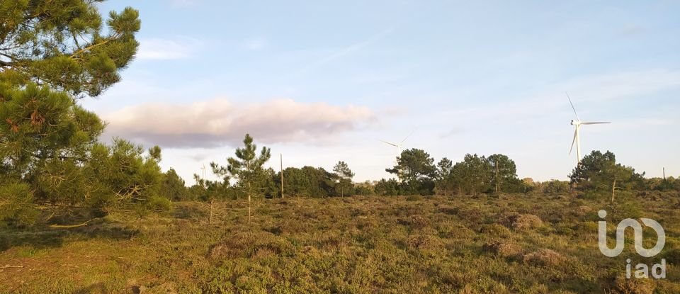 Terreno em Vila do Bispo e Raposeira de 123 840 m²