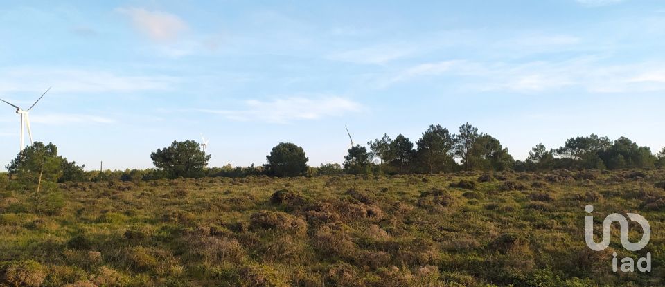 Terreno em Vila do Bispo e Raposeira de 123 840 m²