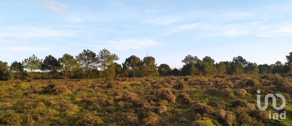 Terreno em Vila do Bispo e Raposeira de 123 840 m²