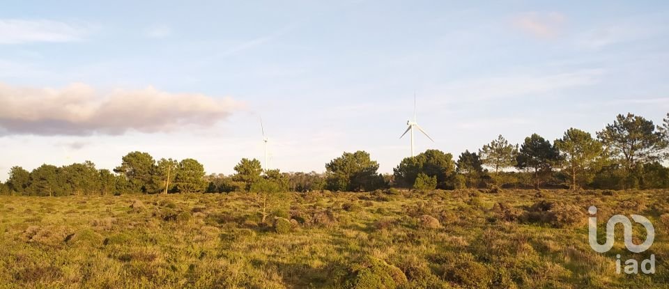 Terreno em Vila do Bispo e Raposeira de 123 840 m²