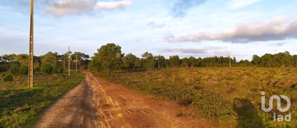 Terreno em Vila do Bispo e Raposeira de 123 840 m²