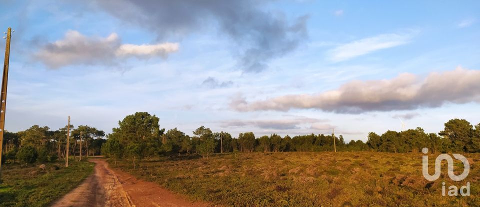 Terreno em Vila do Bispo e Raposeira de 123 840 m²