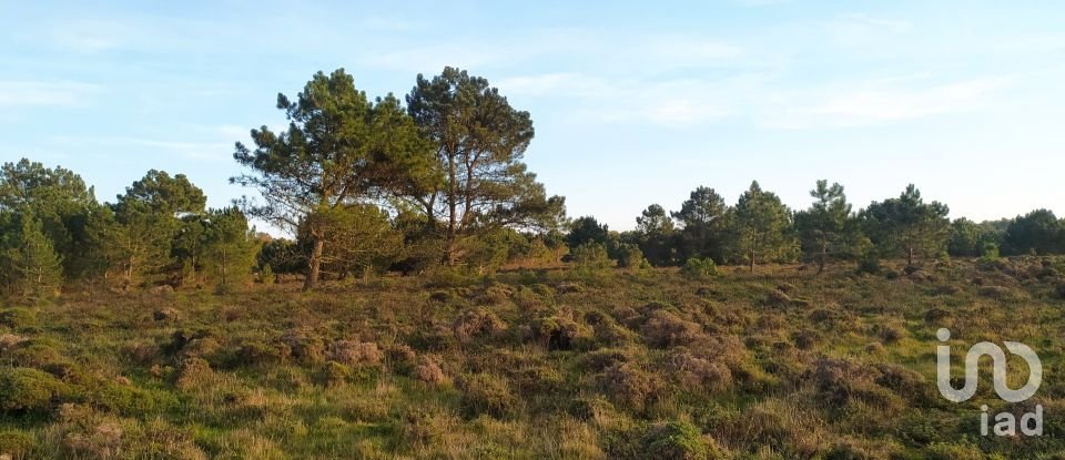 Terreno em Vila do Bispo e Raposeira de 123 840 m²