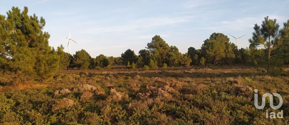 Terreno em Vila do Bispo e Raposeira de 123 840 m²