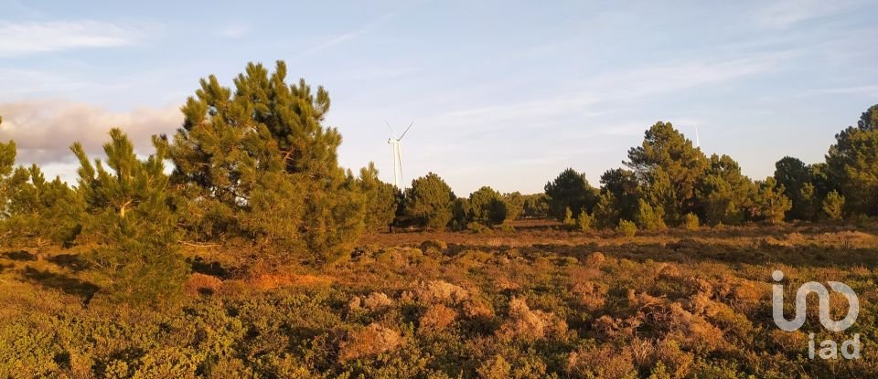 Terreno em Vila do Bispo e Raposeira de 123 840 m²