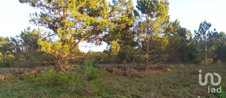 Terreno em Vila do Bispo e Raposeira de 123 840 m²