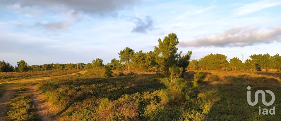 Terreno em Vila do Bispo e Raposeira de 123 840 m²