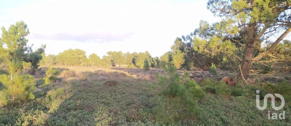 Terreno em Vila do Bispo e Raposeira de 123 840 m²