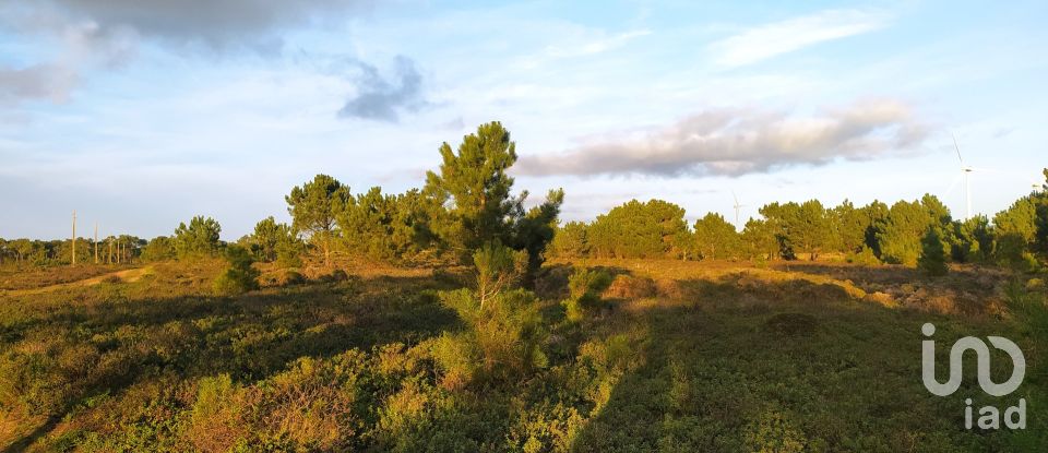 Terreno em Vila do Bispo e Raposeira de 123 840 m²