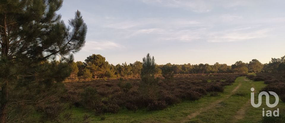 Terreno em Vila do Bispo e Raposeira de 123 840 m²